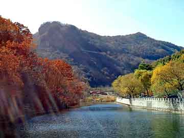 新澳天天开奖资料大全旅游团，北碚小猪